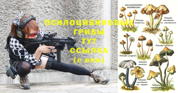 MDMA Заволжск