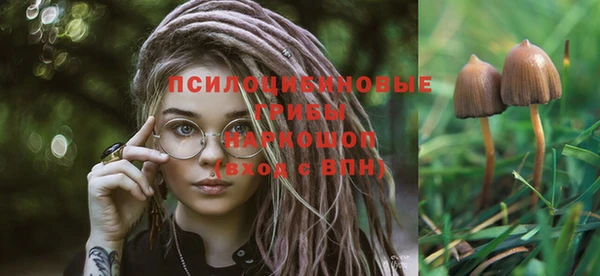 кокс Зерноград